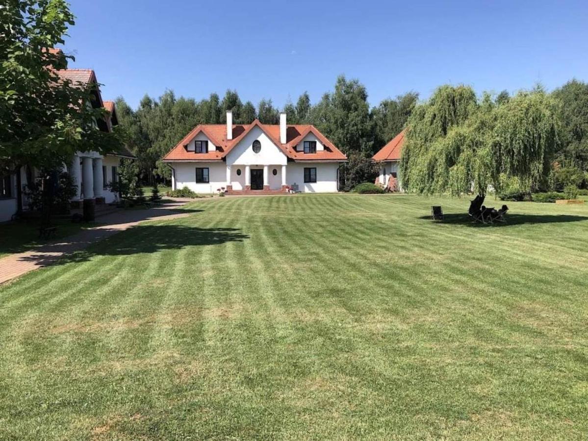 Villa Dom Nasutow à Niemce Extérieur photo